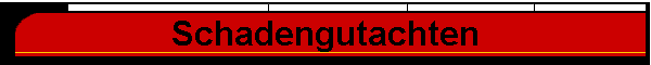 Schadengutachten